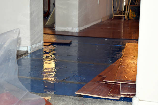 Professional Flood Cleanup technician working in Lakeview, CA